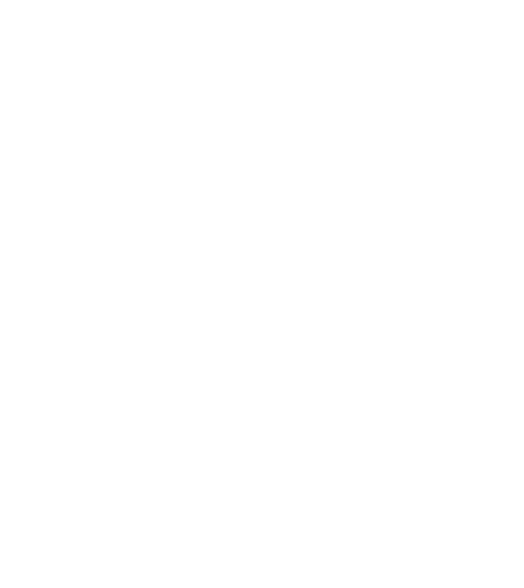 Palace Bulevard Inn